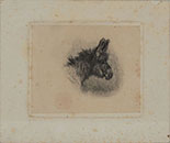 DONKEY'S HEAD, IN PROFILE TO THE RIGHT
